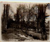 Newton Abbot - Bradley Woods