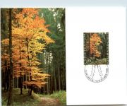 Fürstentum Liechtenstein - Maximumkarte - FDC