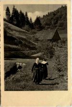 Kriegsgefangenpost - Prisoner of War - Stalag VIIIA