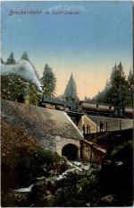 Brockenbahn im Tumkuhlental