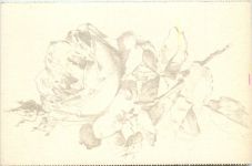 Künstlerkarte C. Klein