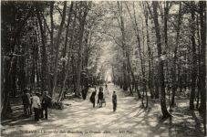 Chantilly - Le Bois Bourillon