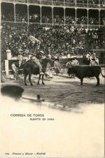 Madrid - Corrida de Toros