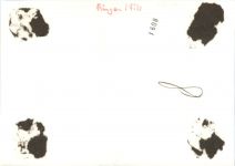 Gingen an der Fils