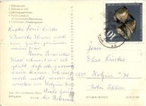 Wilhelm-Pieck-Stadt Guben, div. Bilder