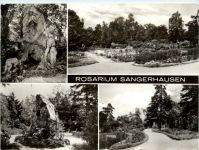 Rosarium Sangerhausen, div. Bilder