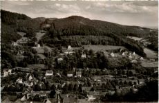 Bad Lauterberg im Harz, Villenviertel