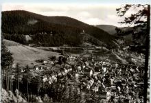 Kurort Lautental Harz, Blick vom Bielstein