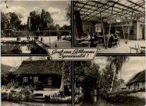 Spreewald, Lübbenau, div. Bilder