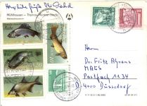 Mühlhausen, Thomas Müntze Stadt