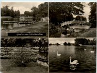Gruss aus dem Wörlitzer Park, div. Bilder