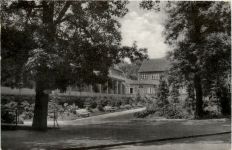 Bad Schmiedeberg, Eisenmoorbad