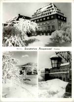 Altenberg, Sanatorium Raupennest, div. Bilder