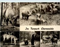 Im Tierpark Eberswalde, div. Bilder