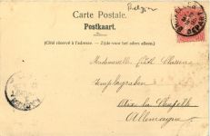 Laitierre flamande - Hundekarren