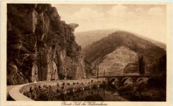 Bunte Kuh bei Walporzheim