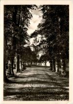 Ottersberg - Freie-Rudolf-Steiner Schule