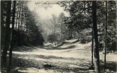 Syke - Die Wolfschlucht