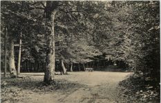 Syke - Partie im Friedeholz