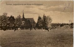 Freistatt - Jungviehweide mit Kirche