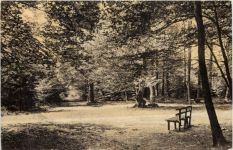 Syke - Partie im Friedeholz