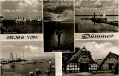 Gruss vom Dümmer