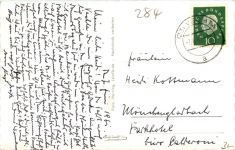 Gruss vom Dümmer