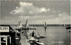 Gruss vom Dümmer