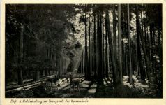 Drangstedt