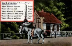 Esel Barometer