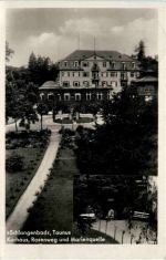 Schlangenbad, Kurhaus, Rosenweg und Marienquelle