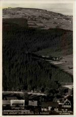 Aschberggebiet, Blick oberhalb Waldschlösschen n.d. Aschberg, Brunndöbra