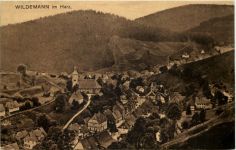 Wildemann im Harz