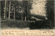 Grüsse aus Holst. Schweiz, Partie im Steinbusch