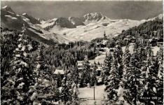 Arosa