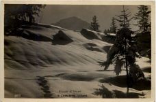 Etude d`hiver, a Chesieres - Villars
