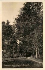 Pensionnat Salve Regina, Bourguillon, Partie du pare