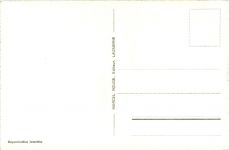 Souvenir de Martigny, div. Bilder