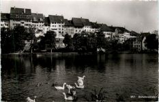 Wil. Schwanenteich