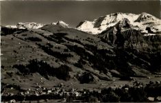 Lenk I.S.
