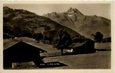 Gryon, La Dent du Midi