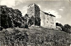 Schloss Habsburg - Aargau