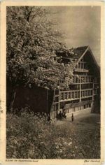 Bei Heiden - Blühet im Appenzellerland