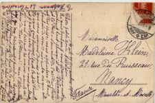 Schermtanne - Wettertanne mit Grosslohner