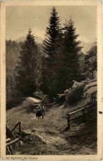 Bei Heiden - Am Waldrand