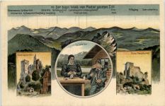 Regen - Bayr. Wald vom Rachel aus - Künstler-AK Eugen Felle