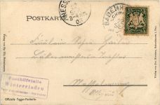 Babenhausen - Fugger Centenarfeier 1903 - Künstler-AK Eugen Felle