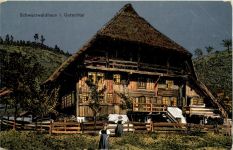 Schwarzwaldhaus im Gutachtal - Künstler-AK Eugen Felle