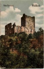 Waldkirch - Ruine Kastelburg - Künstler-AK Eugen Felle