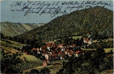 Bad Teinach - Künstler-AK Eugen Felle